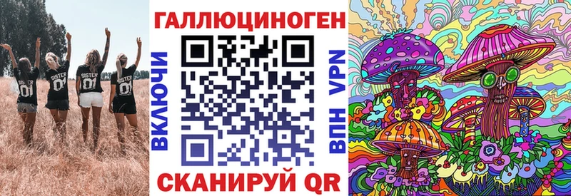 купить наркоту Майкоп Псилоцибиновые грибы мицелий