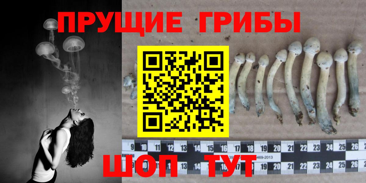 цена   Вход с VPN  Майкоп  Псилоцибиновые грибы прущие грибы 