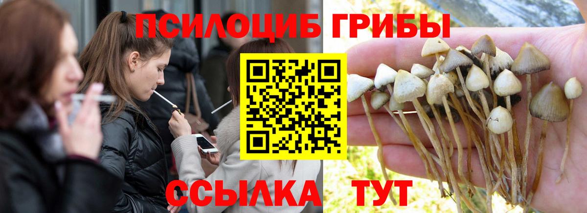 Псилоцибиновые грибы MAGIC MUSHROOMS Майкоп
