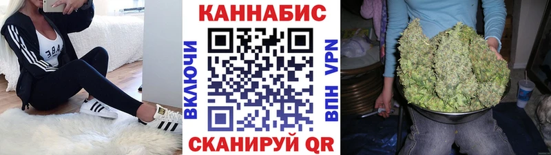 Бошки марихуана план  Майкоп 